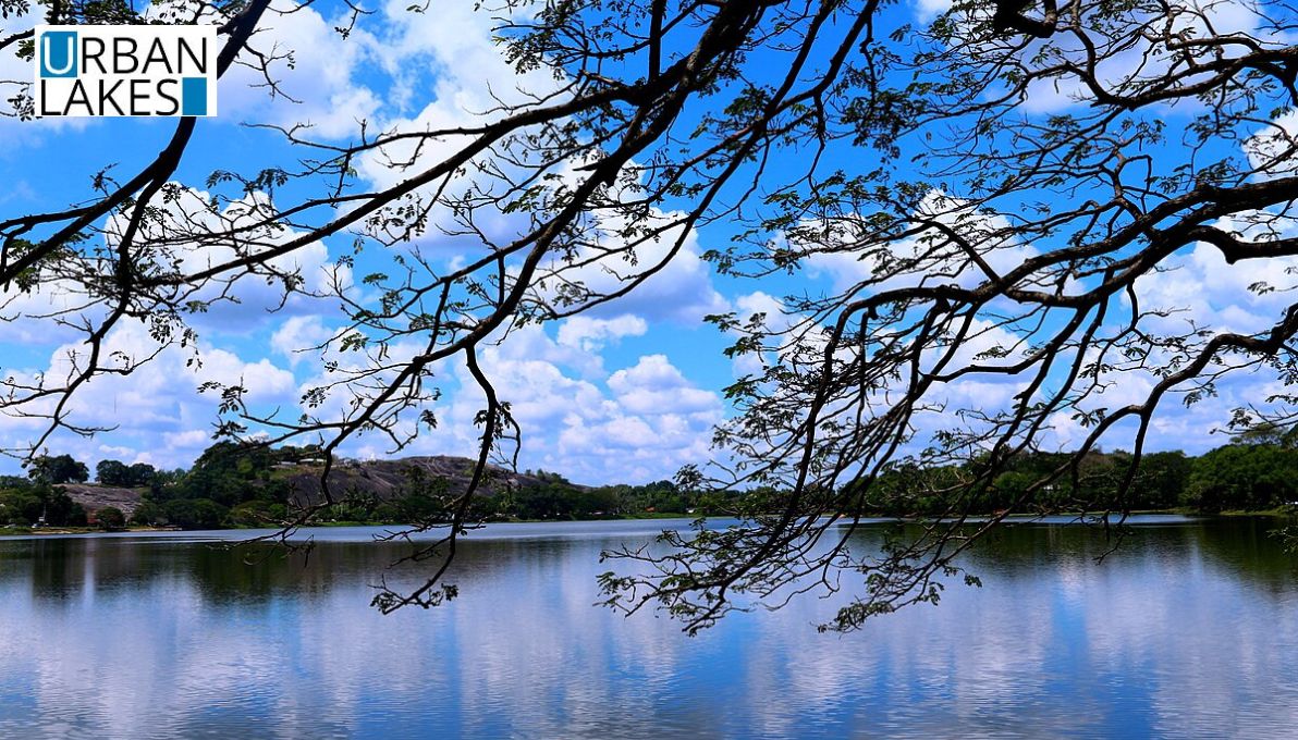 Urban-Lake