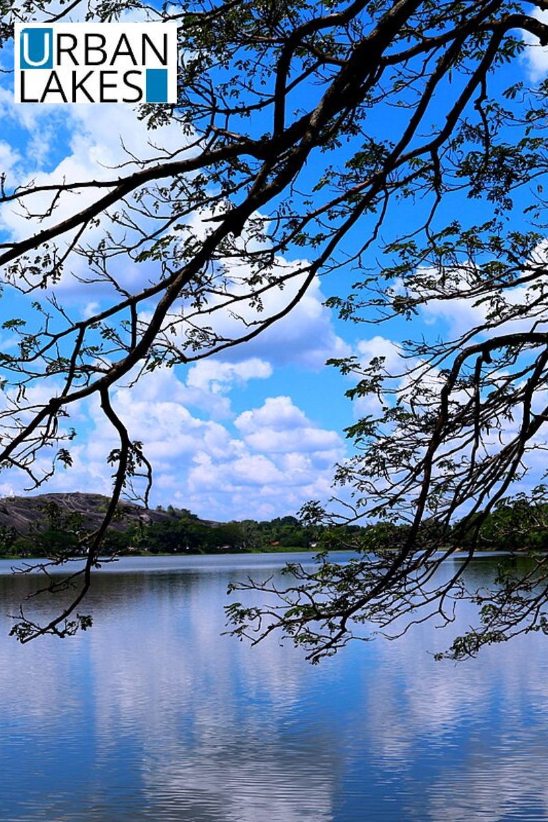 Urban Lake